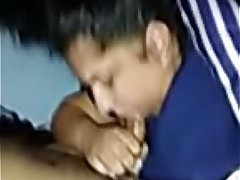 Indian sucking papi dick